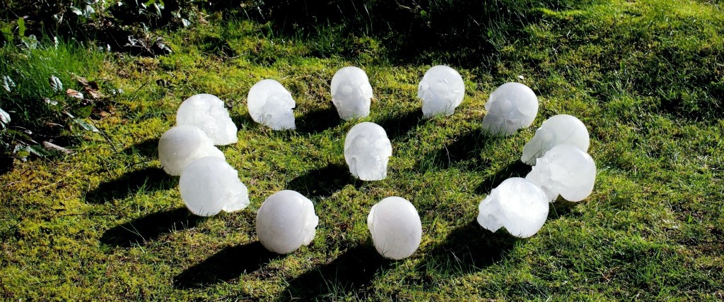 13 Himalayan Quartz Crystal Skulls ~ Crystal Skull Grid