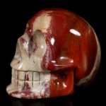 Petrified Wood Crystal Skull